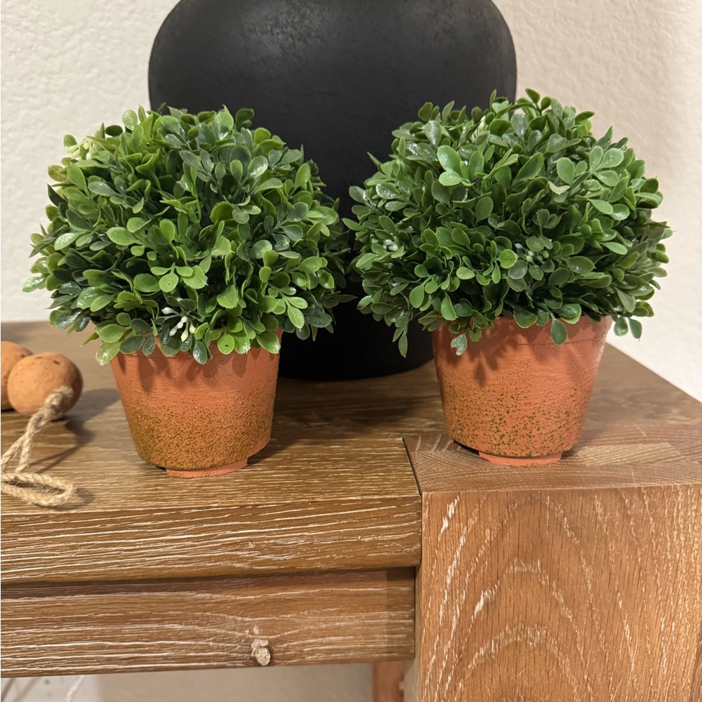 Mini Faux Boxwood Plants with Faux Terracotta Base (set of 2)